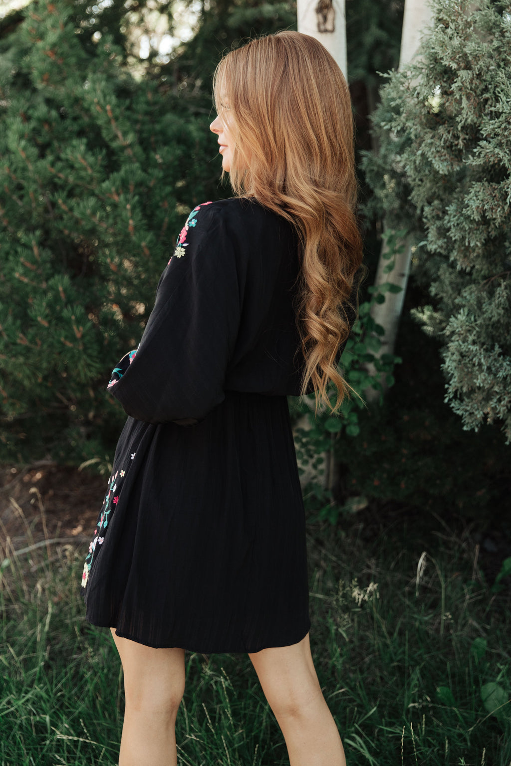Floral Embroidered Dress