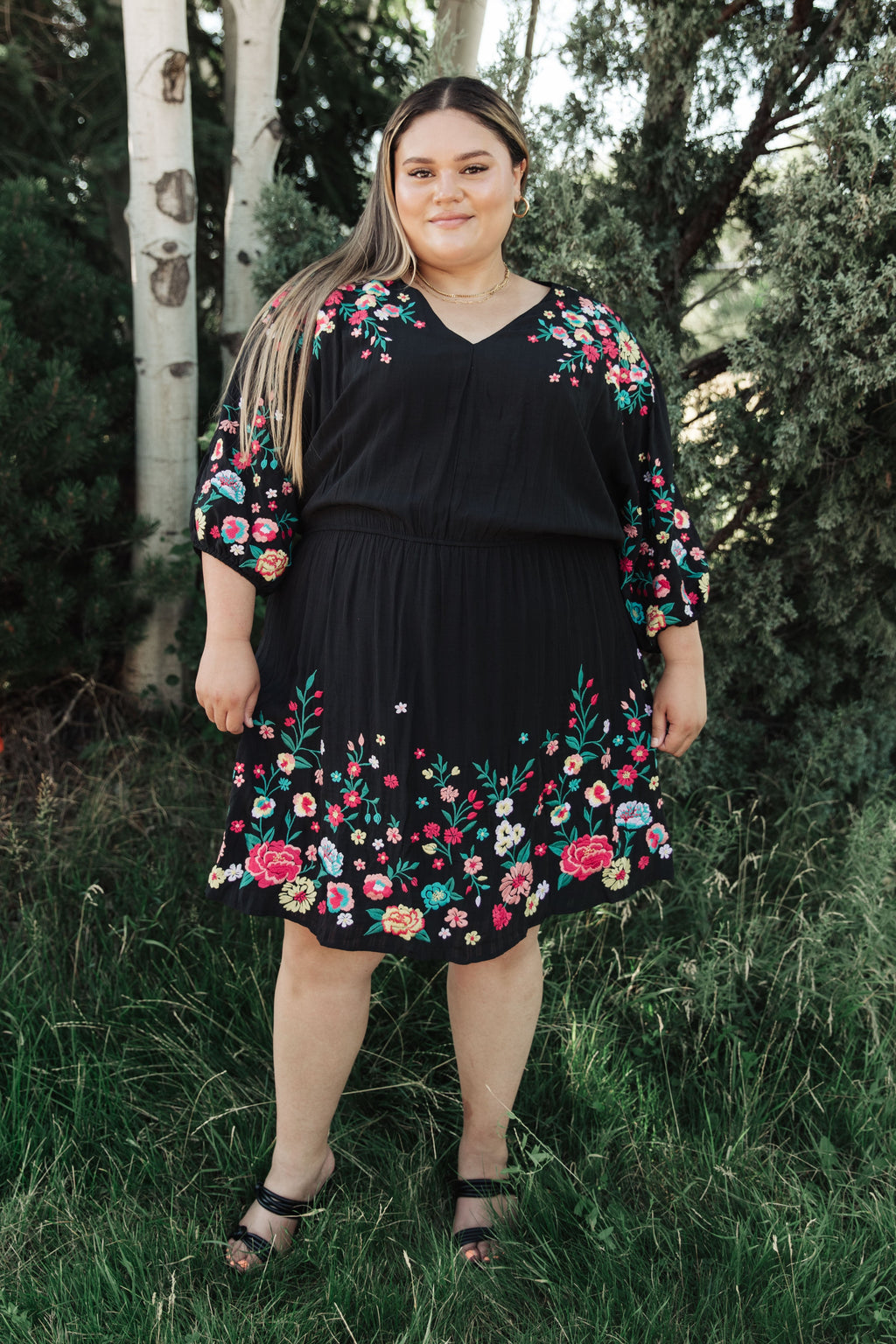 Floral Embroidered Dress